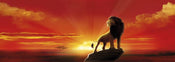 Komar The Lion King Fotobehang 202x73cm | Yourdecoration.be