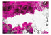 Fotobehang - Colors of Spring Fuchsia - Vliesbehang