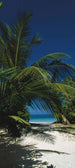 Komar To the Beach Fotobehang 97x220cm | Yourdecoration.be