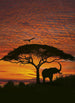 Komar African Sunset Fotobehang National Geographic 194x270cm | Yourdecoration.be