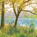 Komar Spring Lake Fotobehang National Geographic 368x254cm | Yourdecoration.be