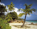 Komar Praslin Fotobehang 368x254cm | Yourdecoration.be