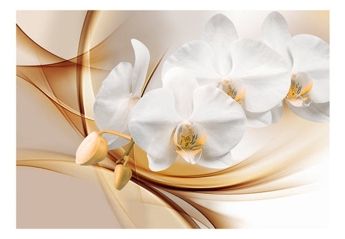 Fotobehang - Orchid Blossom - Vliesbehang