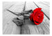 Fotobehang - Abandoned Rose - Vliesbehang