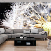 Fotobehang - Fluffy Dandelion - Vliesbehang