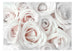 Fotobehang - Satin Rose Pink - Vliesbehang