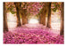 Fotobehang - Pink Grove - Vliesbehang