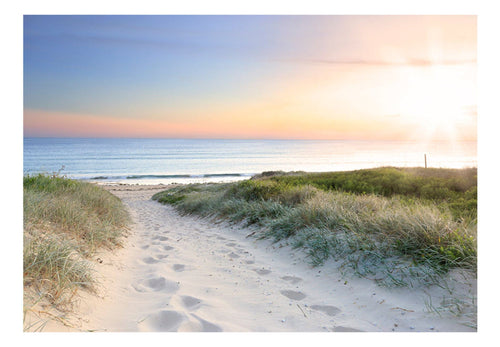 Fotobehang - Morning Walk on the Beach - Vliesbehang