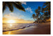 Fotobehang - Tropical Beach - Vliesbehang