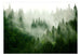 Fotobehang - Mountain Forest Green - Vliesbehang