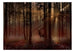 Fotobehang - Mystical Forest First Variant - Vliesbehang