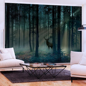 Fotobehang - Mystical Forest Third Variant - Vliesbehang