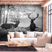 Fotobehang - Deers in the Morning - Vliesbehang